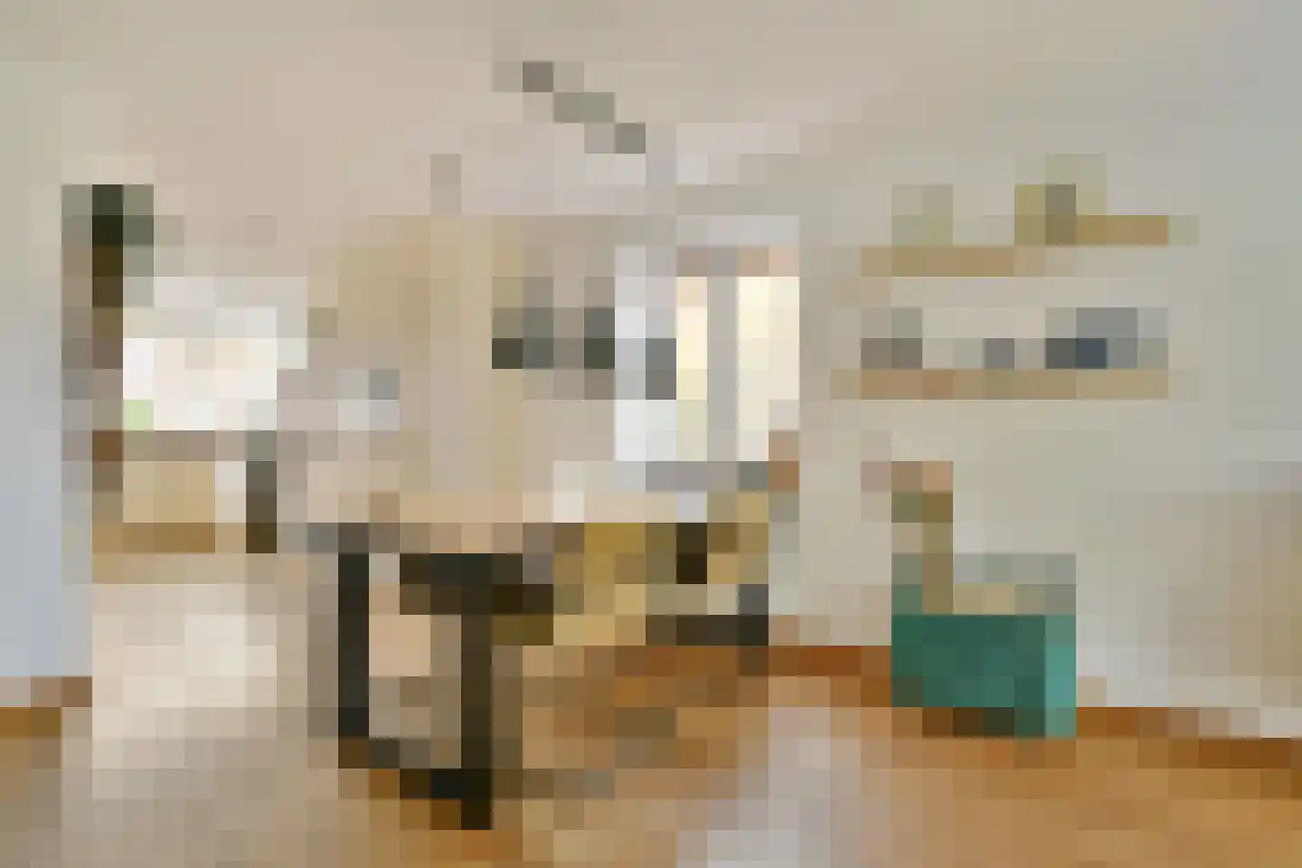 Specht 18 Amstelveen thumbnail 12