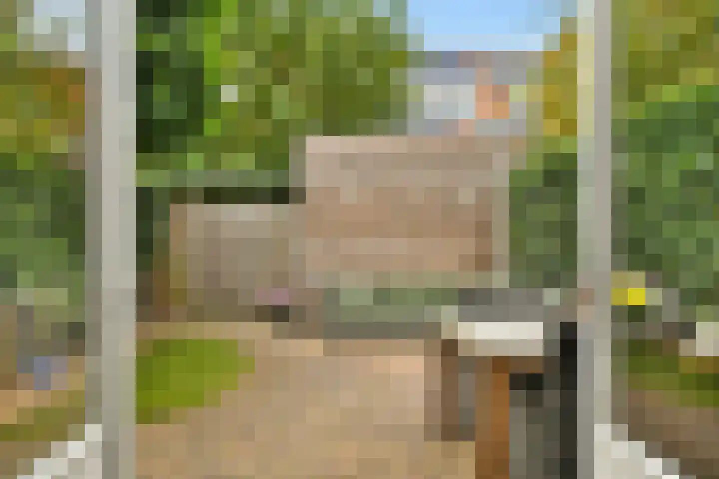 Specht 18 Amstelveen thumbnail 15