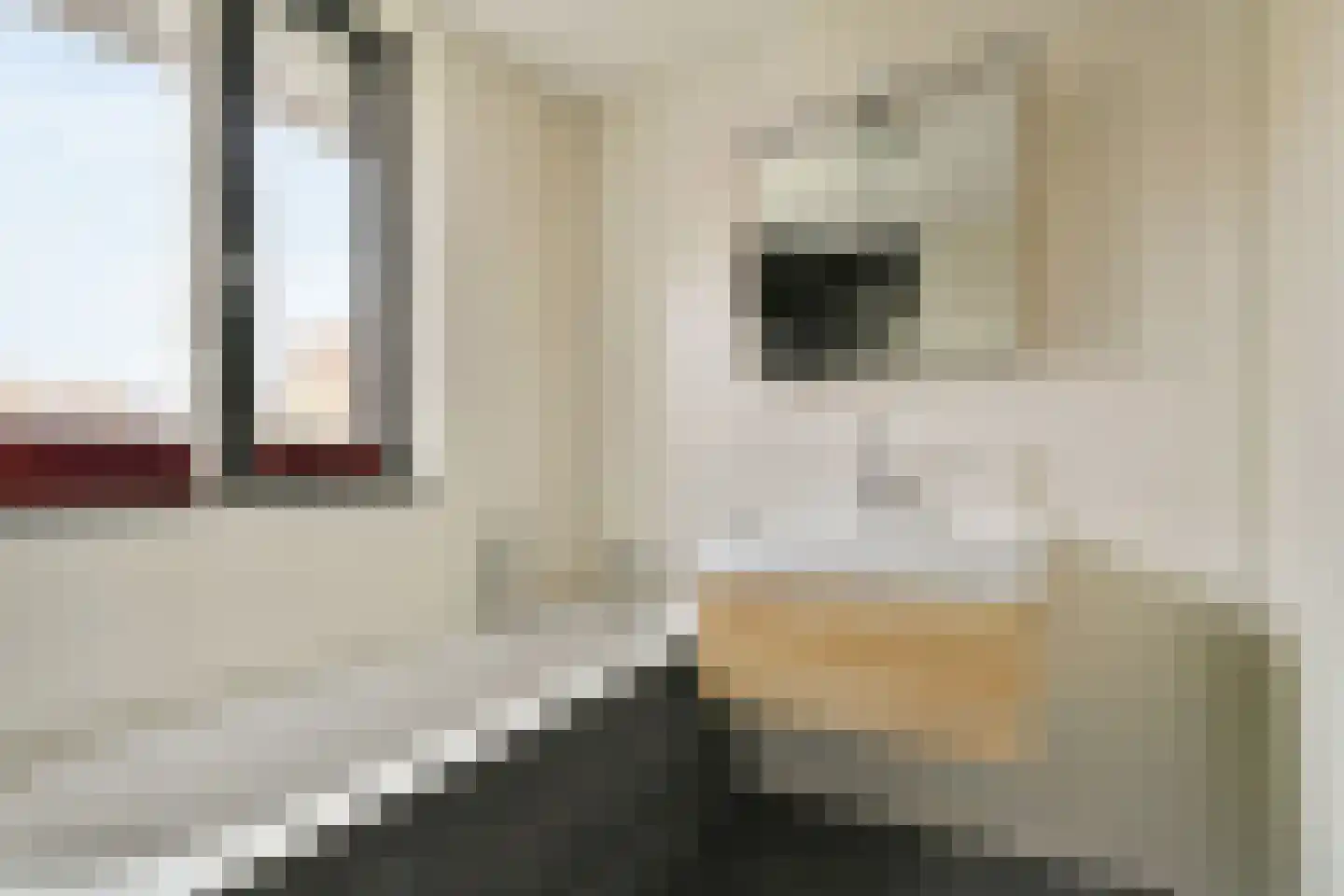 Specht 18 Amstelveen thumbnail 22