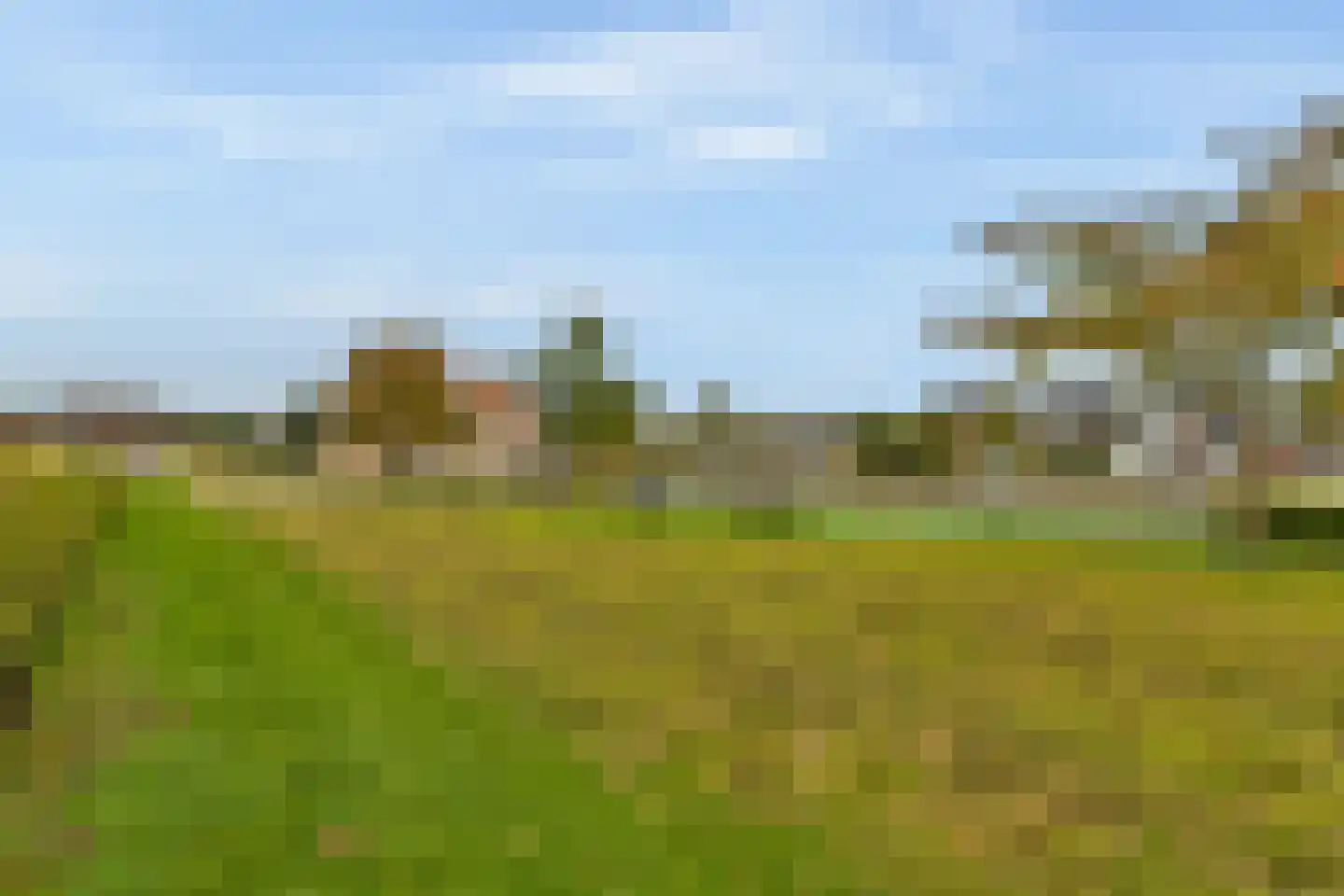 Specht 18 Amstelveen thumbnail 28
