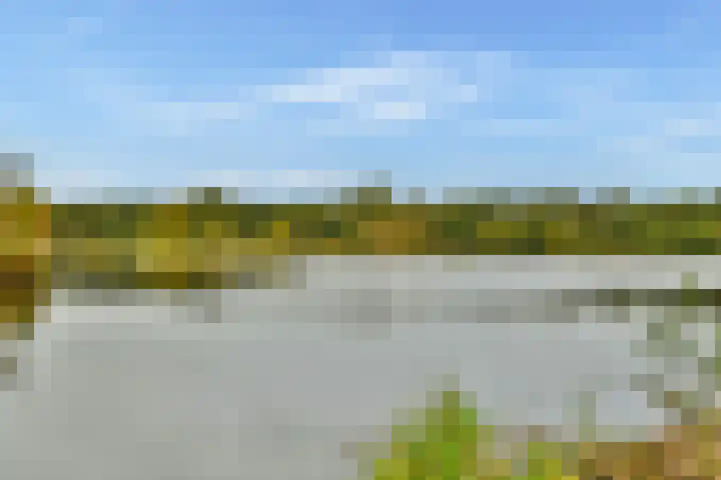 Specht 18 Amstelveen thumbnail 29