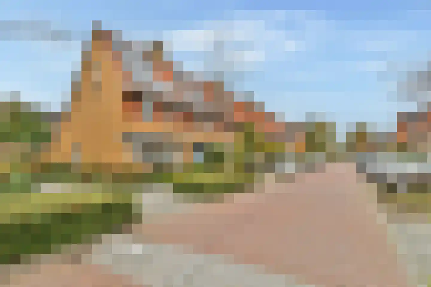 Specht 18 Amstelveen thumbnail 30