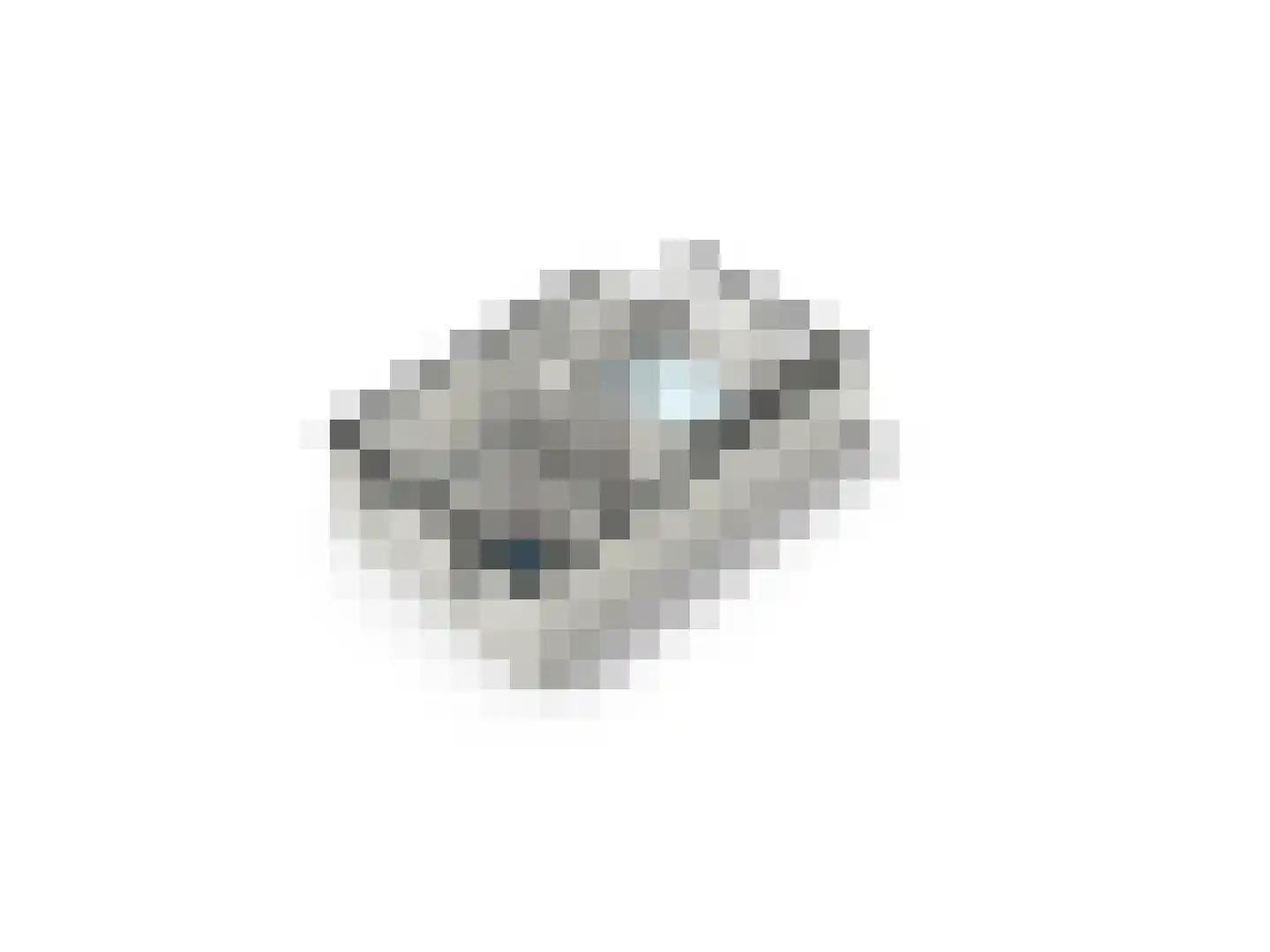 Specht 18 Amstelveen thumbnail 36
