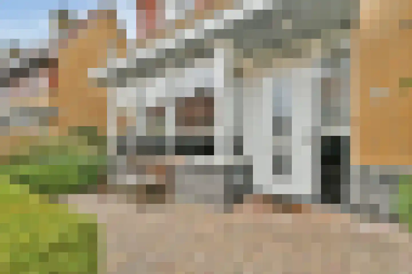Specht 18 Amstelveen thumbnail 7