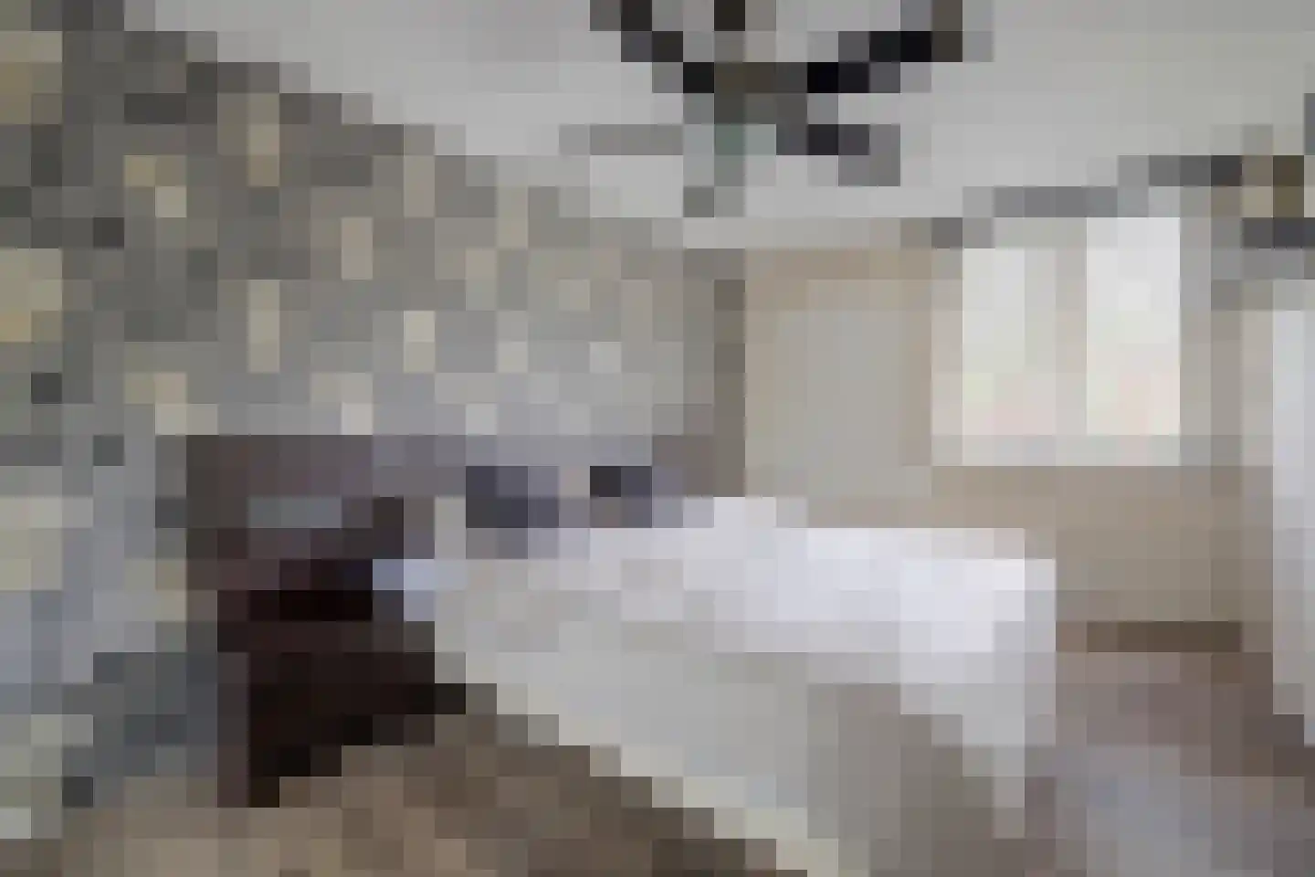 Specht 25 Hoogvliet Rotterdam thumbnail 10