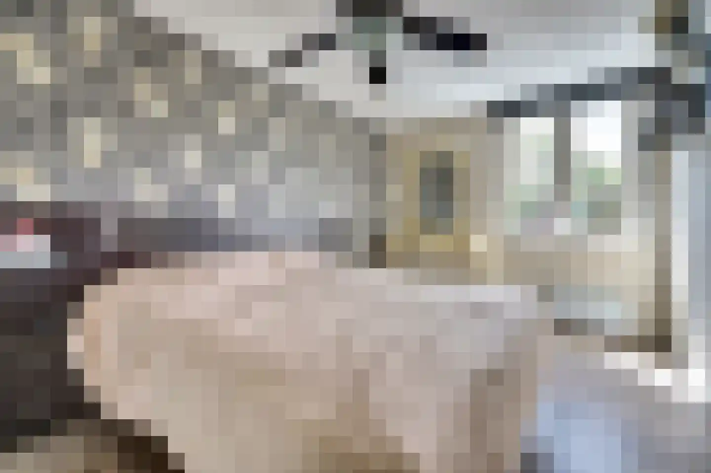 Specht 25 Hoogvliet Rotterdam thumbnail 12