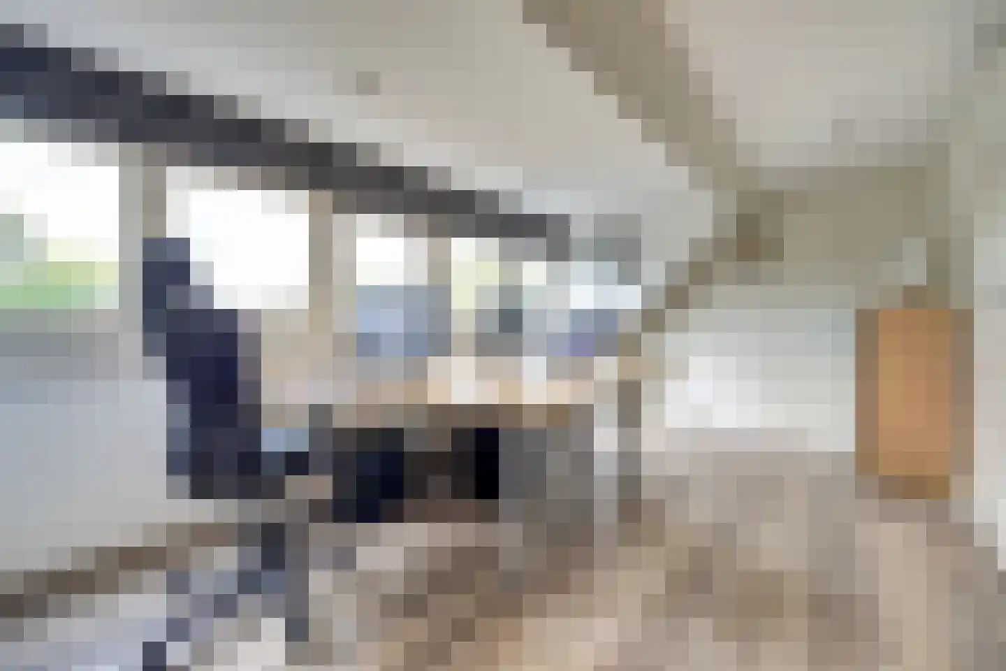 Specht 25 Hoogvliet Rotterdam thumbnail 20