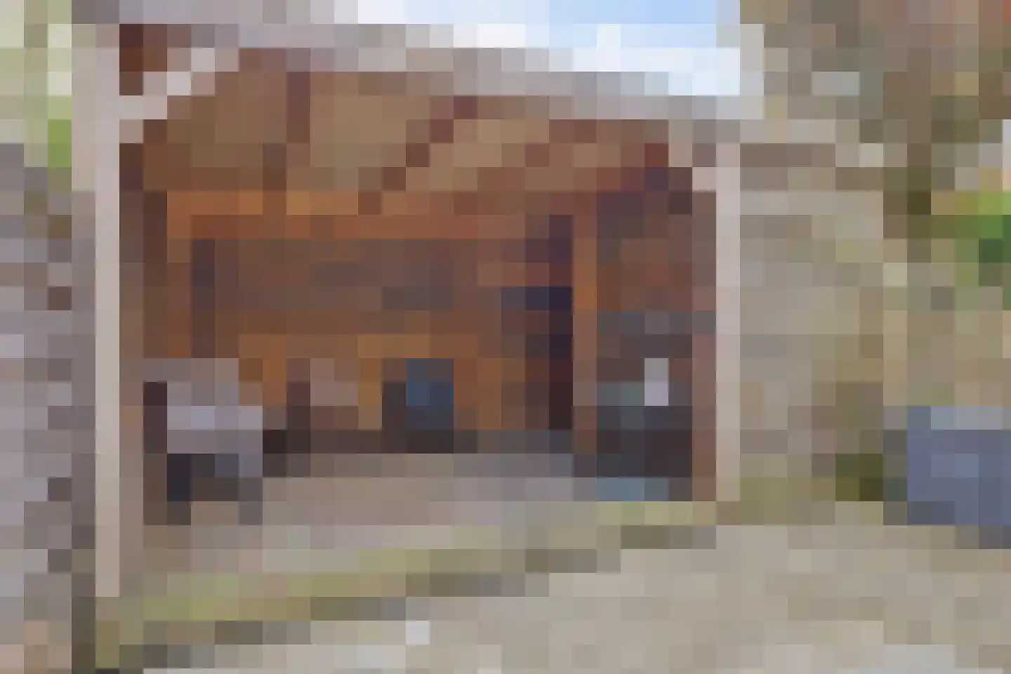 Specht 25 Hoogvliet Rotterdam thumbnail 24