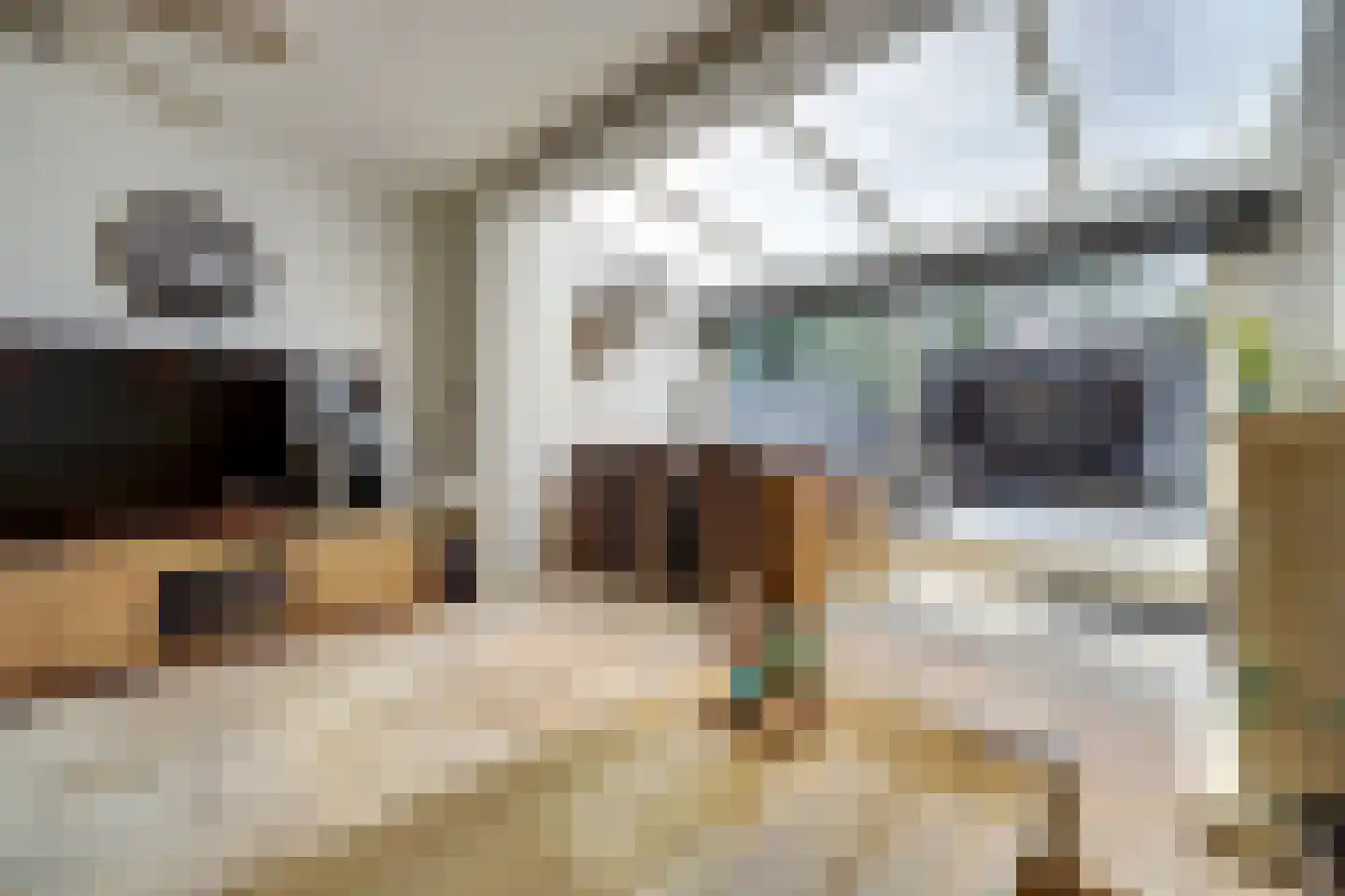 Specht 25 Hoogvliet Rotterdam thumbnail 6