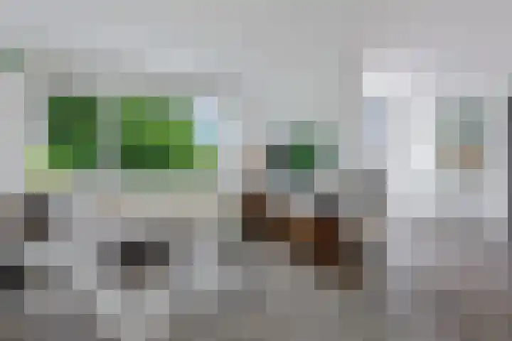 Specht 25 Nieuwegein thumbnail 10