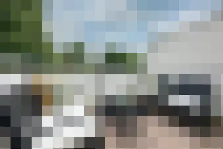 Specht 25 Nieuwegein thumbnail 12
