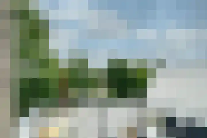 Specht 25 Nieuwegein thumbnail 13