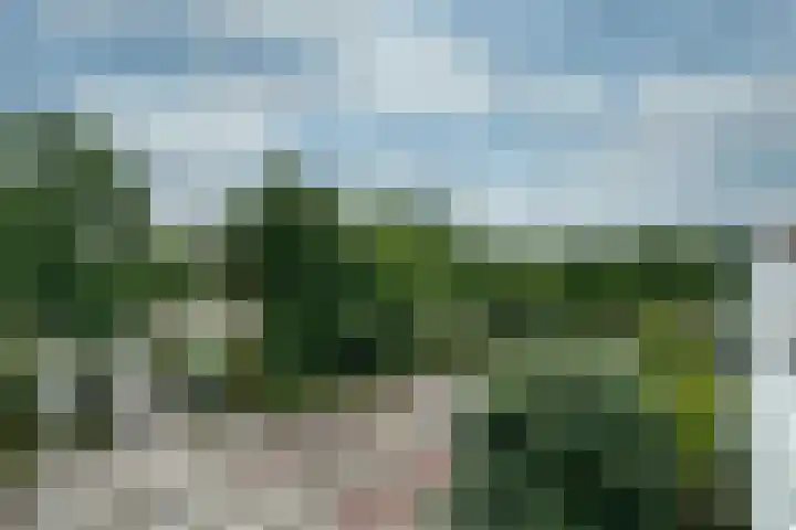 Specht 25 Nieuwegein thumbnail 14