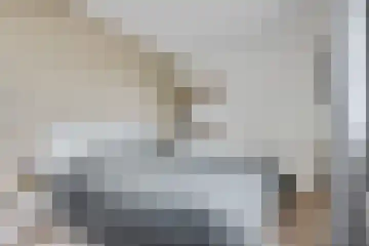 Specht 25 Nieuwegein thumbnail 15