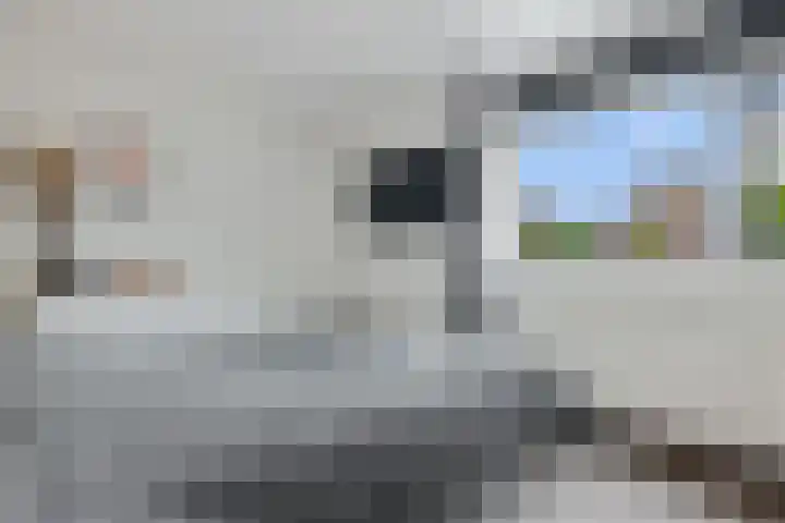 Specht 25 Nieuwegein thumbnail 16