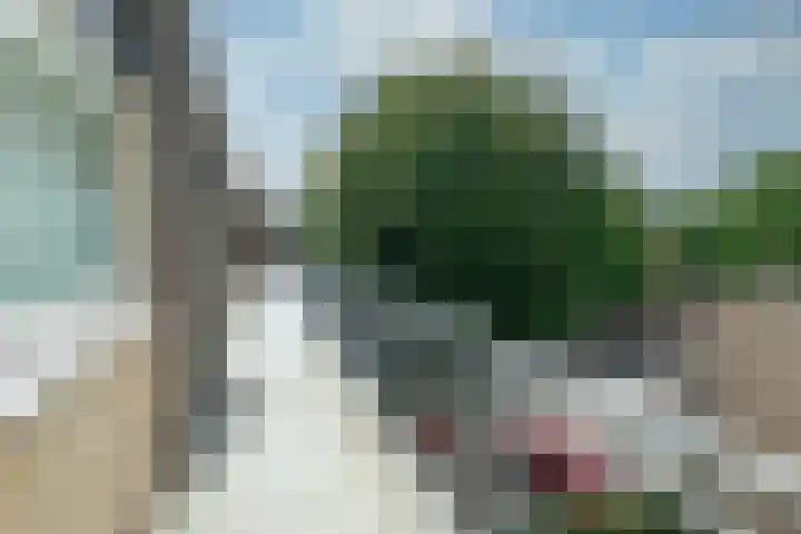 Specht 25 Nieuwegein thumbnail 22