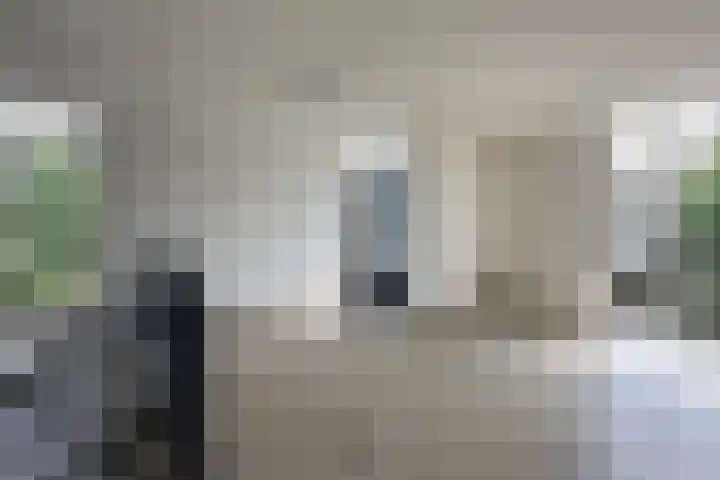 Specht 25 Nieuwegein thumbnail 23