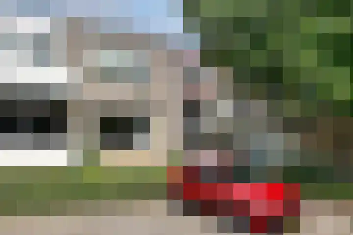 Specht 25 Nieuwegein thumbnail 25