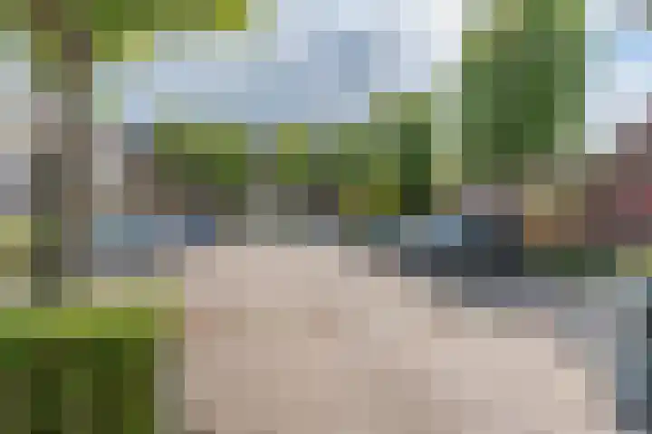 Specht 25 Nieuwegein thumbnail 27