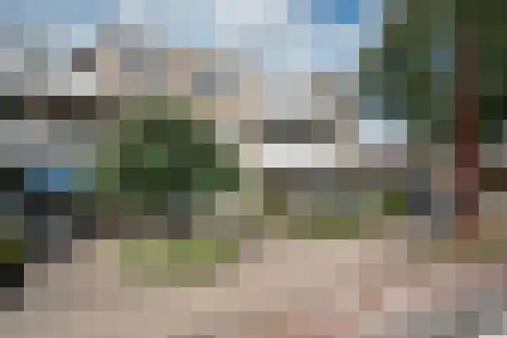 Specht 25 Nieuwegein thumbnail 28