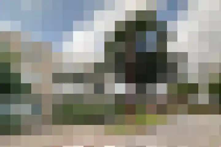 Specht 25 Nieuwegein thumbnail 29