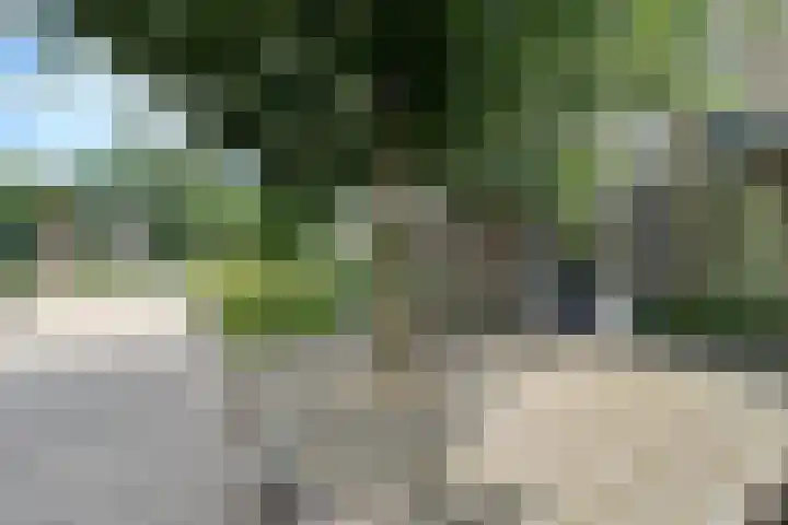 Specht 25 Nieuwegein thumbnail 30