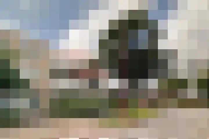 Specht 25 Nieuwegein thumbnail 4