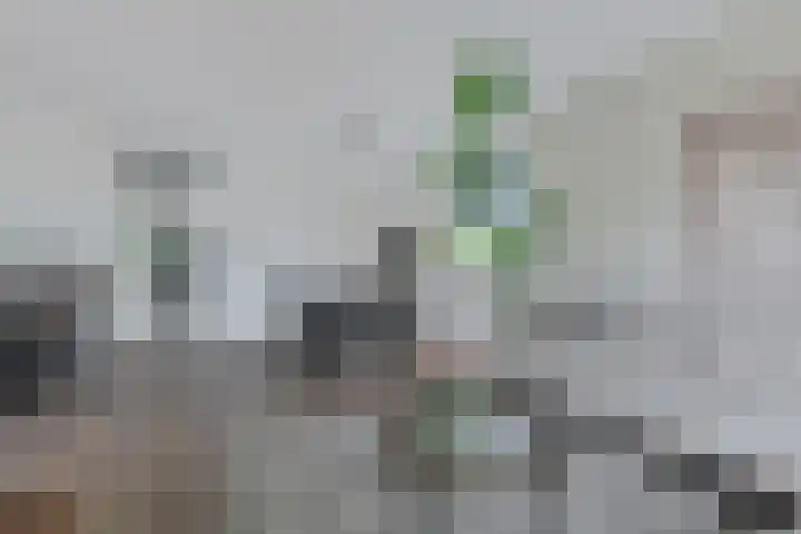 Specht 25 Nieuwegein thumbnail 9