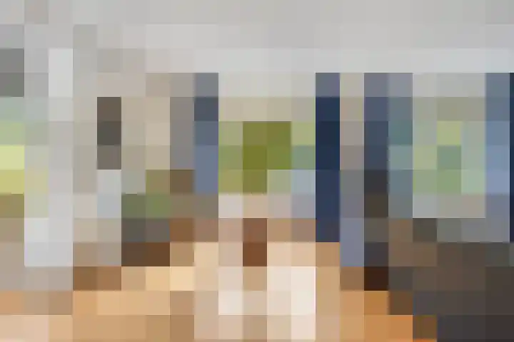 Specht 30 Fijnaart thumbnail 12