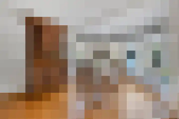 Specht 30 Fijnaart thumbnail 13