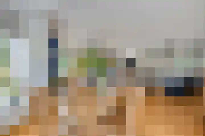 Specht 30 Fijnaart thumbnail 15