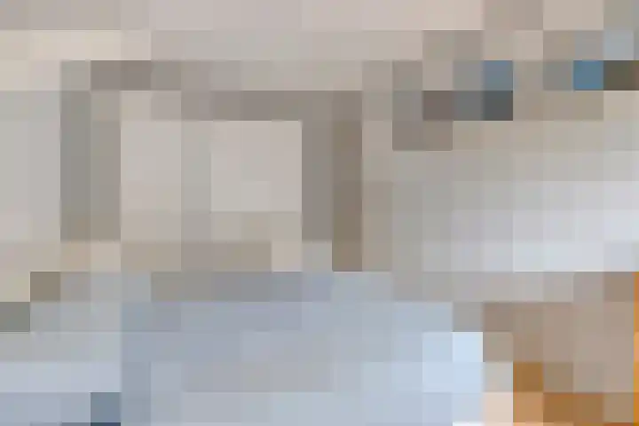 Specht 30 Fijnaart thumbnail 20