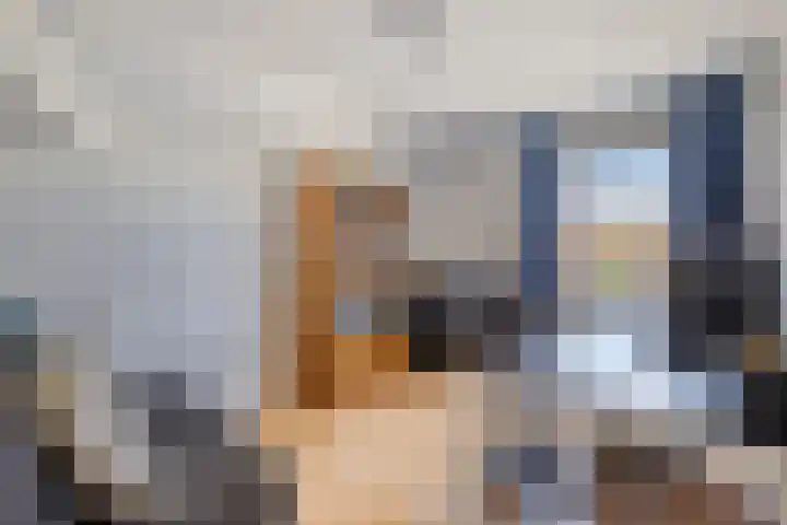 Specht 30 Fijnaart thumbnail 23