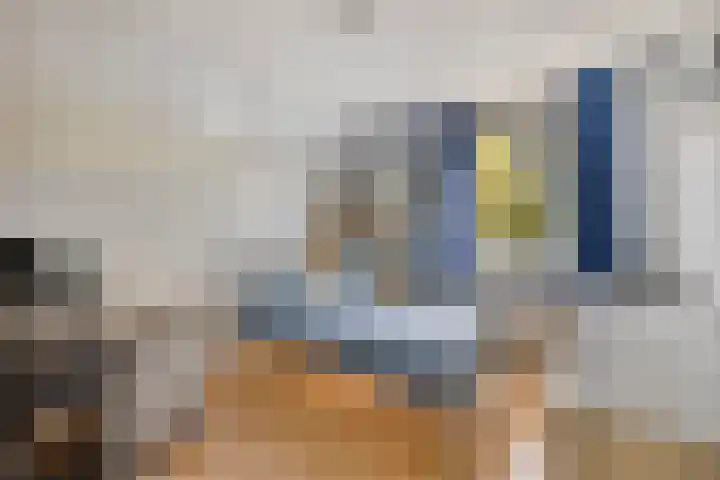 Specht 30 Fijnaart thumbnail 24