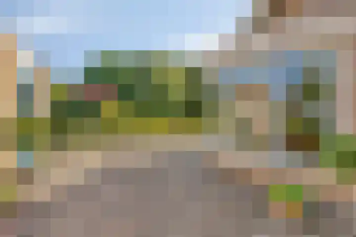 Specht 30 Fijnaart thumbnail 29