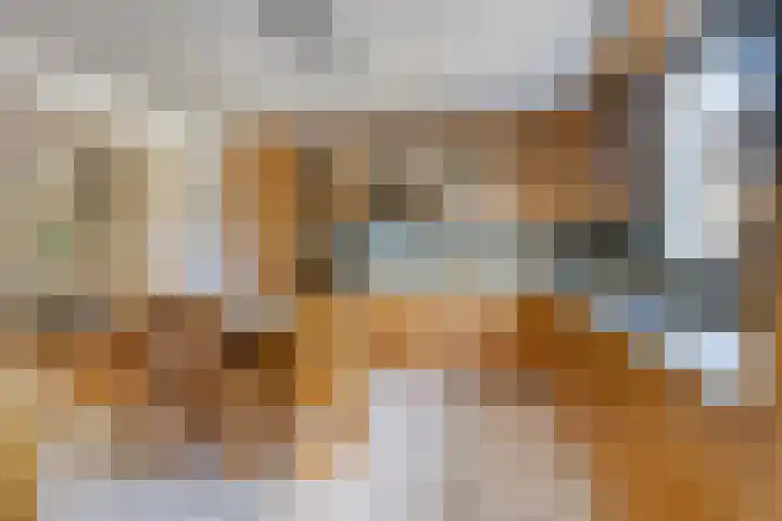 Specht 30 Fijnaart foto 3