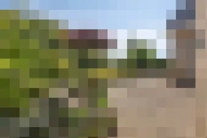 Specht 30 Fijnaart thumbnail 30