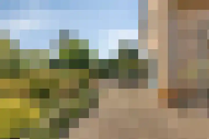 Specht 30 Fijnaart thumbnail 31
