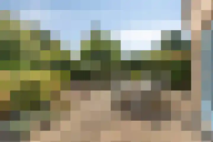 Specht 30 Fijnaart thumbnail 32