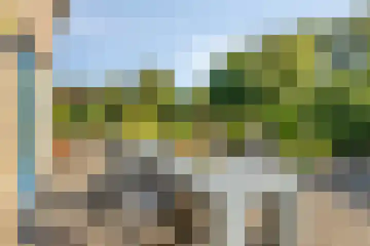 Specht 30 Fijnaart thumbnail 33