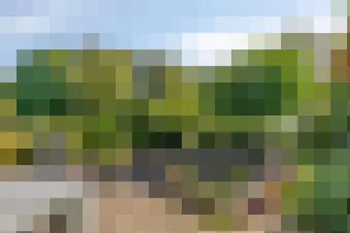 Specht 30 Fijnaart thumbnail 34
