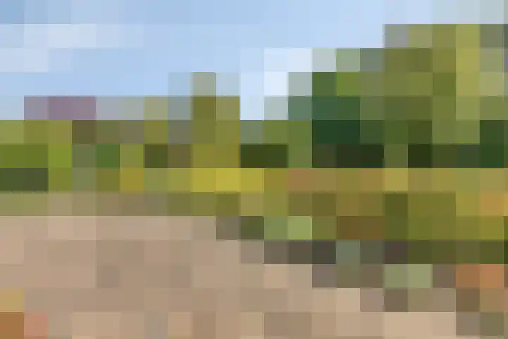 Specht 30 Fijnaart thumbnail 35