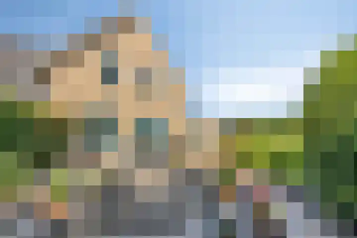 Specht 30 Fijnaart thumbnail 36
