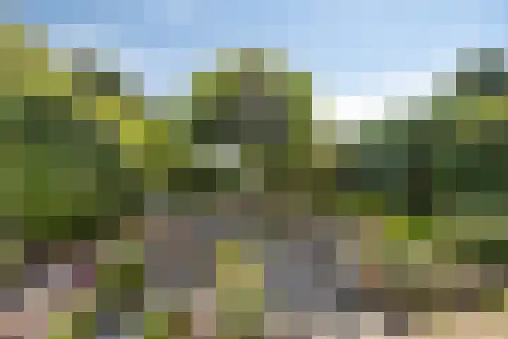 Specht 30 Fijnaart thumbnail 37