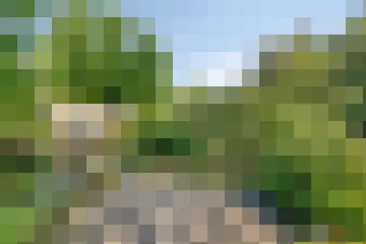 Specht 30 Fijnaart thumbnail 38