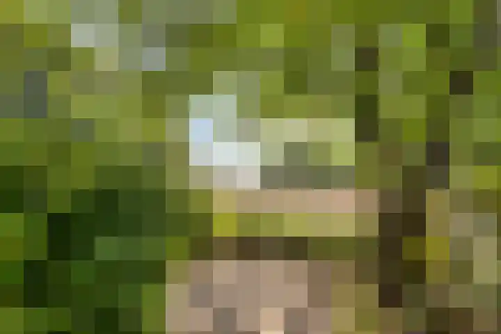 Specht 30 Fijnaart thumbnail 39