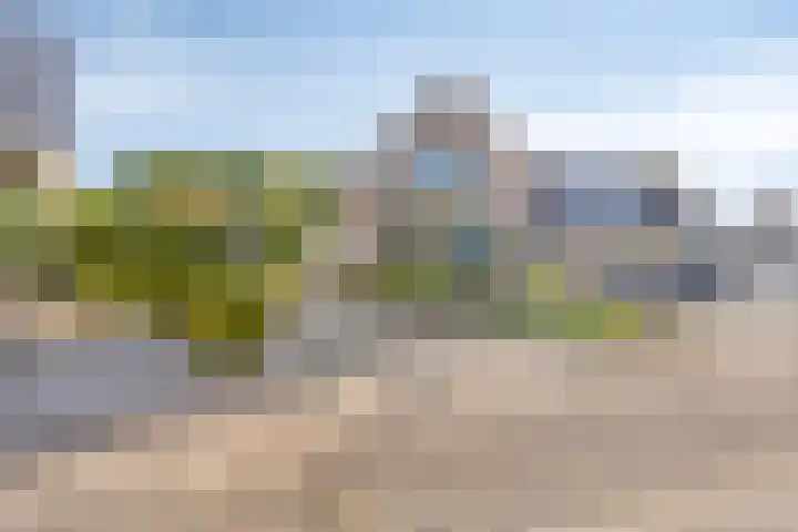 Specht 30 Fijnaart thumbnail 4