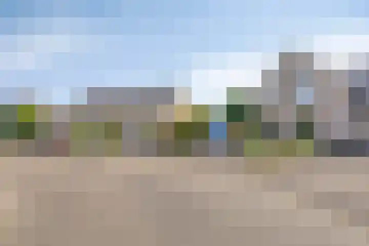 Specht 30 Fijnaart thumbnail 42