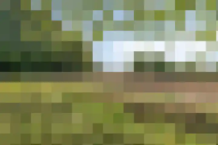 Specht 30 Fijnaart thumbnail 45