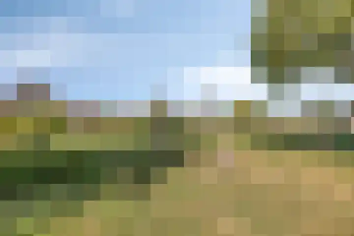 Specht 30 Fijnaart thumbnail 46